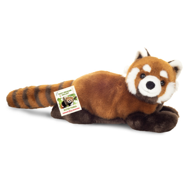Plüschbär Roter Panda ★ Katzenbär 30cm