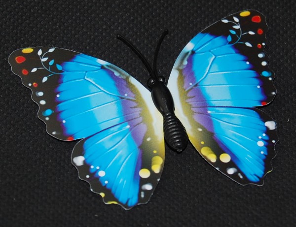 Magnet Schmetterling blau 70x50 mm