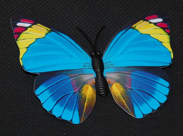 Magnet Schmetterling blau 70x55 mm