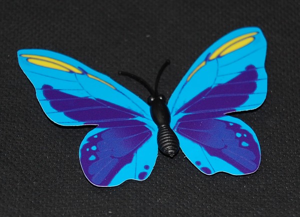 Magnet Schmetterling blau 70x55 mm