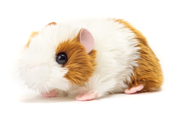 Plüschtier Meerschweinchen braun/weiß ★ Plüsch Meerschweinchen 18 cm