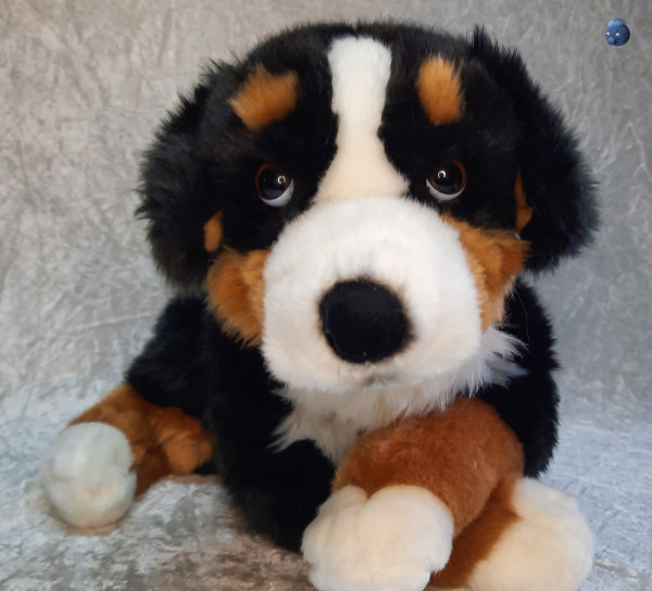 Plüschtier Hund liegend mit Geschirr ★ Spitzenqualität ★ Plüsch Berner Sennenhund 55 cm