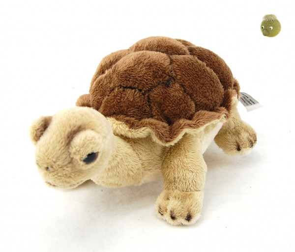 Plüschtier Landschildkröte aus Plüsch ★ Spitzenqualität ★ Plüsch Schildkröte 21cm
