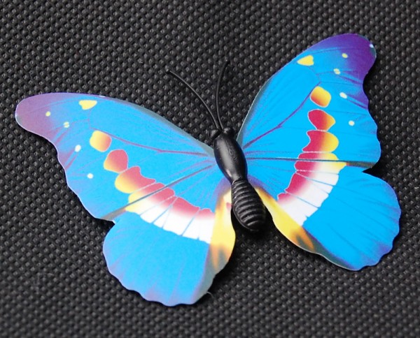 Magnet Schmetterling blau 70x50 mm