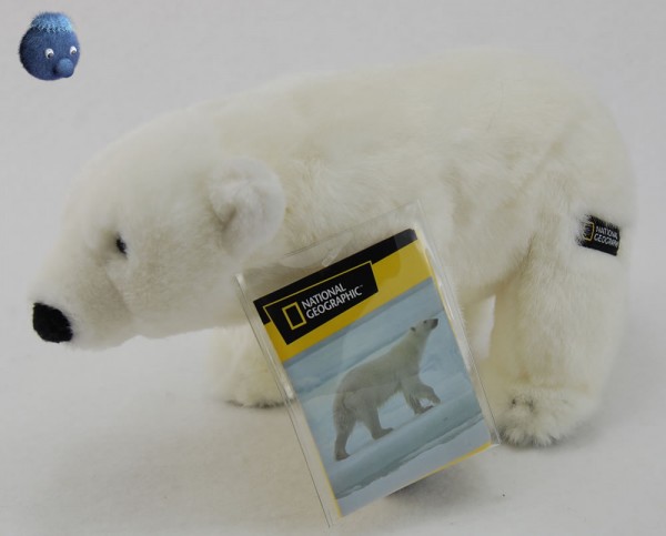 Eisbär ★ National Geographic Plüscheisbär 25 cm