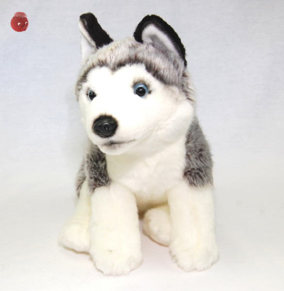 Plüschtier Hund, Husky sitzend grau, weiß ★ Spitzenqualität ★ Plüsch Husky sitzend 26 cm