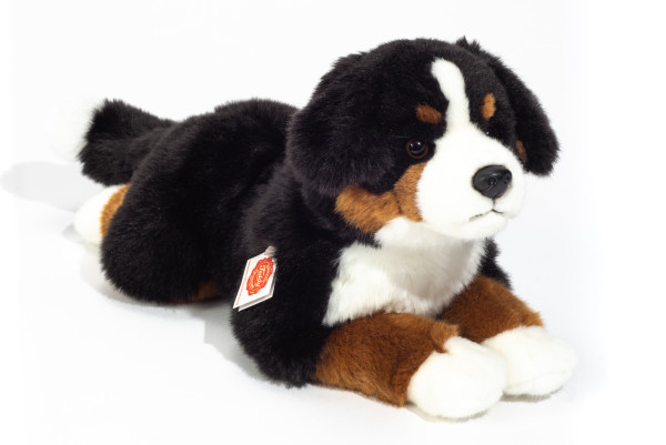Plüsch Berner Sennenhund ★ Plüschhund Hund liegend mehrfarbig ★ Plüsch Hund liegend 40 cm