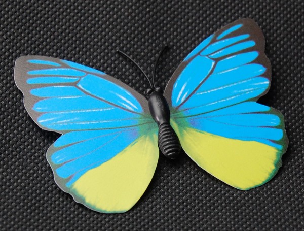 Magnet Schmetterling blau 70x55 mm